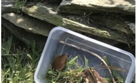 Lukas’s Bug Hotel